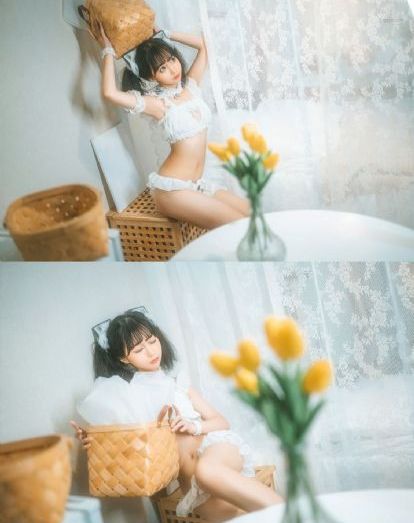 意大利种马