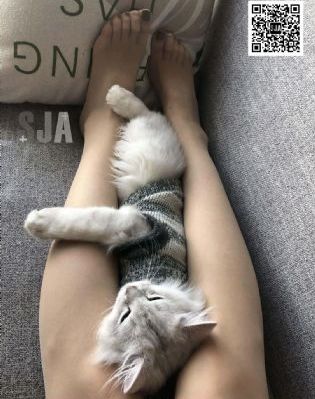 黑暗圣经免费观看
